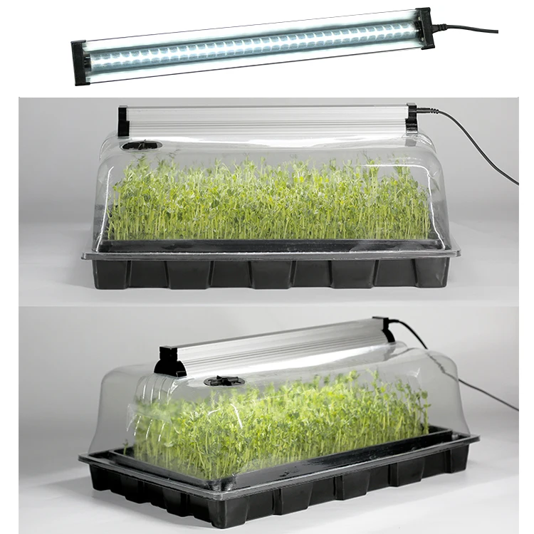 

MiniGreenhouse Propagator root trainer aquarium gardening nursery hard plastic tray, Black/white