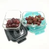 Small Reusable Multi-color Rectangular Borosilicate glass Meal Prep Containers/Mini Glass Baby Food Containers Storage