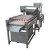 Dates And Vegetable Washer Washing Machines Industrial Cleaning Dates Machine