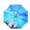 /product-detail/umbrella-wind-proof-automatic-umbrella-mechanism-horse-umbrella-62080606067.html
