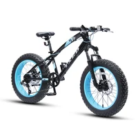 

wide tires big wheel snow bike