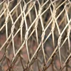 Bald eagle bird cages, bird netting - handwoven stainless steel zoo mesh