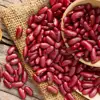 Skillful manufacture red kidney beans different types of pulses price