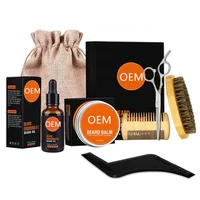 

Amazon Hot sale Beard comb and brush set men's beard oil wooden beard Grooming Kit