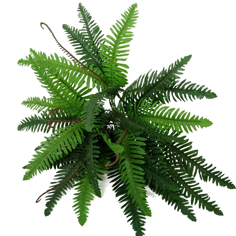 

64cm height cheap mini artificial plants, Artificial 5 heads of Boston fern leaves for indoor decoration, Green;as picture show.