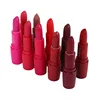 /product-detail/matte-lipstick-waterproof-long-lasting-lip-stick-makeup-natural-lipstick-women-sexy-batom-mate-smooth-pigment-levre-62101382972.html