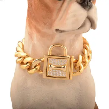gold choke chain dog collar