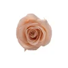 Kunming Yunnan China Preserved Roses Supplier for Preserved Roses Wholesale