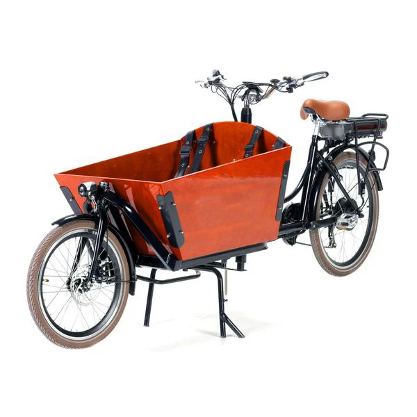 

2021 New 6 Speed Front Loading Electric Cargo Bicycle 2 Wheel Family Bakfiets