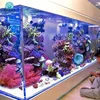 Aquarium for Freshwater Fish and Saltwater Fish