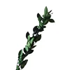Wholesale Preserved Rose Stem for Flower Bouquet or Long Stem Glass Rose