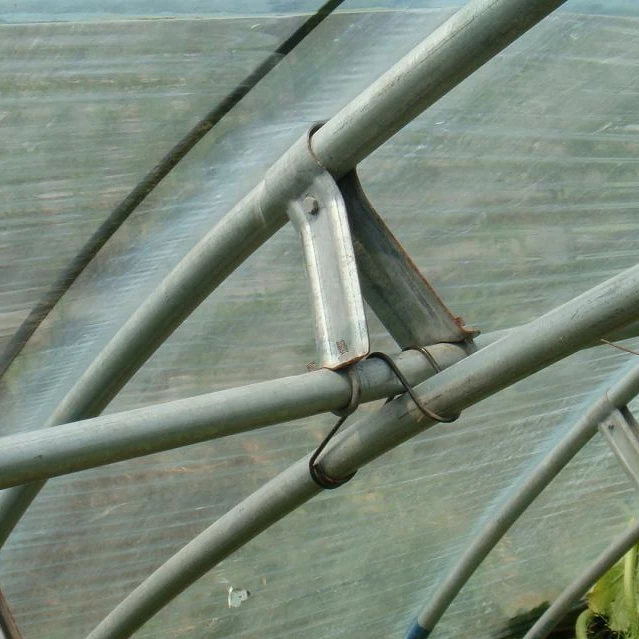 
2019 commercial plastic single span greenhouse tunnel used for agricultural 
