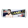 Hot Selling Custom Logo Roll Up Retractable Hand Held Sports Fan Cheering Scrolling Banner
