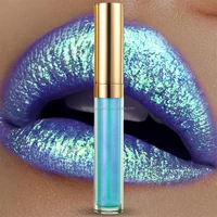 

Metallic Lips Makeup Custom Logo Clear Lipgloss Wholesale Factory Private Label Shiny Lipgloss 6 Colors Glitter Lip Gloss