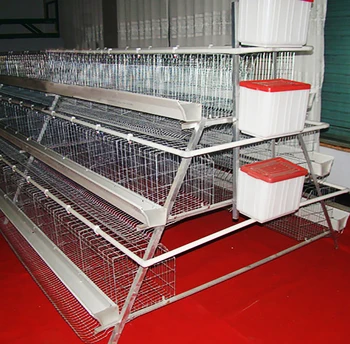 2019 New Design Best Sale Chicken Egg Layer Cages In South Africa - Buy