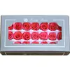 wholesales yunnan mini preserved 2-3 cm rose for flower arrangement