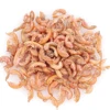 Pet Food For Freshwater Dried Gammarus Fish Food