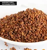 High quality wholesale hot sale black bitter buckwheat for tea