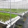 Rectangular plastic pvc tubing cultivator for hydroponic
