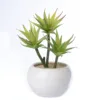 Cheap wholesale small plastic succulent home artificial bonsai plant