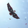 customized design animal eagle kite 3d bird kite for kids gift promotion from professional kite factory
