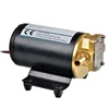 Sailflo 12 Volt Motor Self Priming Gear Oil Fuel Transfer Extractor 12V Pump w/Brass Adapters