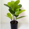 Single Stem Plastic Realistic Fiddle Leaf Tree For Indoor