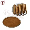 polysaccharide content 10%~60% high quality cordyceps sinensis extract