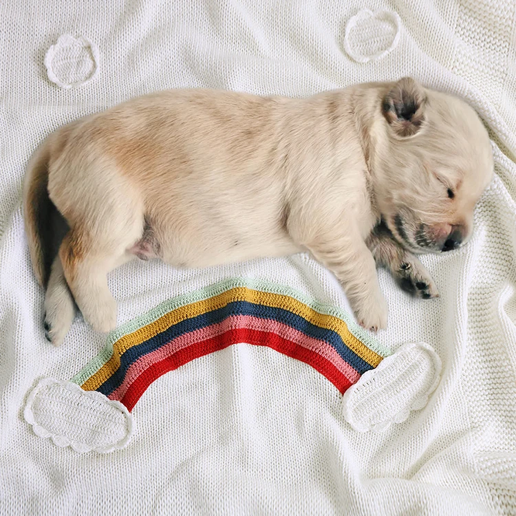 

White Rainbow Simple Crochet Baby Throw Blanket