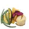 Hot sale VF vegetable assorted mix vegetable chips