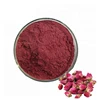 natural plant Chinese Rose Flower 10 : 1 extract powder for Beauty skin