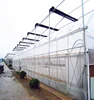 tomato planting single-span tunnel greenhouse