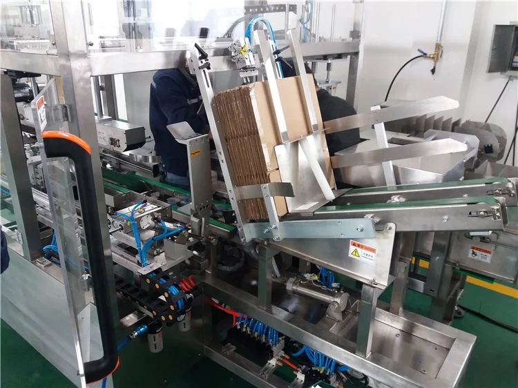 
Full Automatic Carton case Packer 