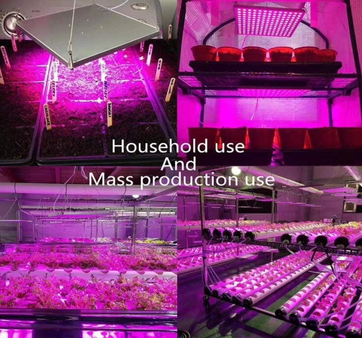 
High Power 600W Full Spectrum Led Grow Lights 