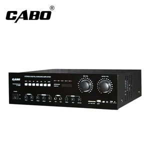 100 Watt Digital Audio Power Amplifier