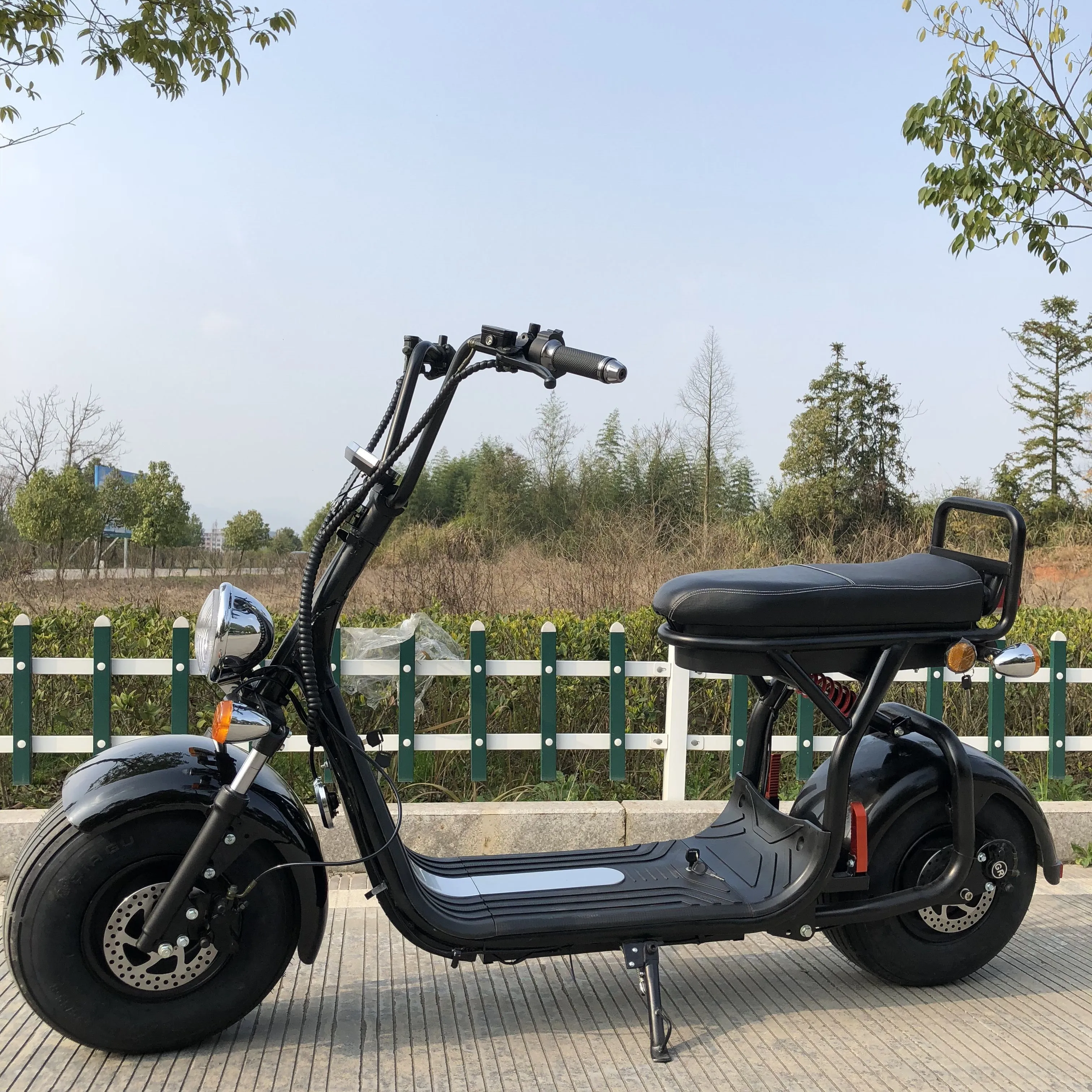 Голландия склад 2019 новый продукт 1000 Вт Мотор 60 в 10Ah аккумулятор Nzita Citycoco электрический мотоцикл