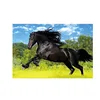free samples 3d lenticular printing postcard