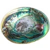 Polished Clam Natural Large Abalone Shell For Jewelry Storage Soap Box Fish Tank Decoration