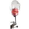 Dental simple manikin Jaw models with FE/D articulator