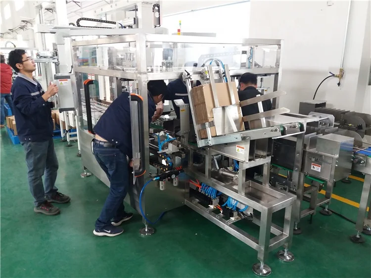 
Full Automatic Carton case Packer 