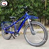 GaeaCycle Electric Bike With Big Rear Seat Cargo Ebike Factory Price Bicycle