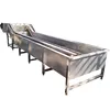 fruit cleaning machine / dates washing machine / mango washing machine