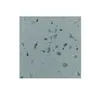 Polished matte surface stone quartz stone big slab form 15-30mm India regional feature