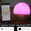 2019 Newest Sunrise&Sunset Simulation Wake Up Light Compatible With Amazon Alexa Hands 7 Natural Sounds and FM Radio