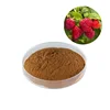 HONGDA Supply Food Grade Red Raspberry Powder Raspberry Ketone Powder Bilberry Extract