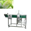 Sauerkraut half cutting machine for cabbage cutting into two parts