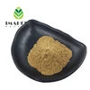 GMP Manufacture Made in China gingko biloba leaf extract