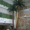 Artificial Preserved Leaves Palm Tree Green