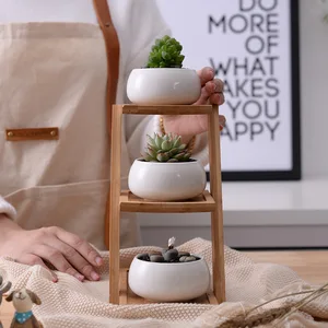Image of APHACATOP Simple white creative succulent botany ceramic oblate flower plant pot