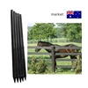 china best selling Garden Fencing Ideas / House Fences and Gates